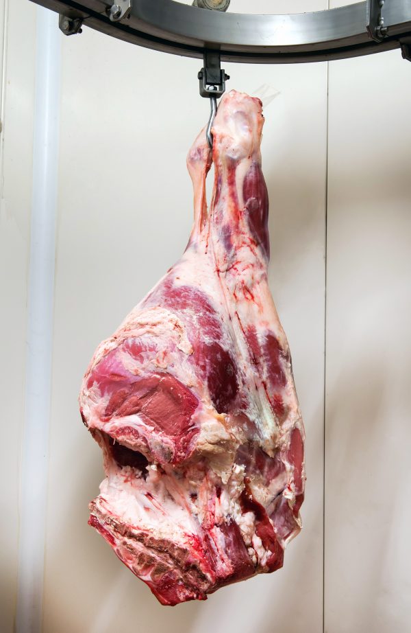 Halal Irish Beef leg